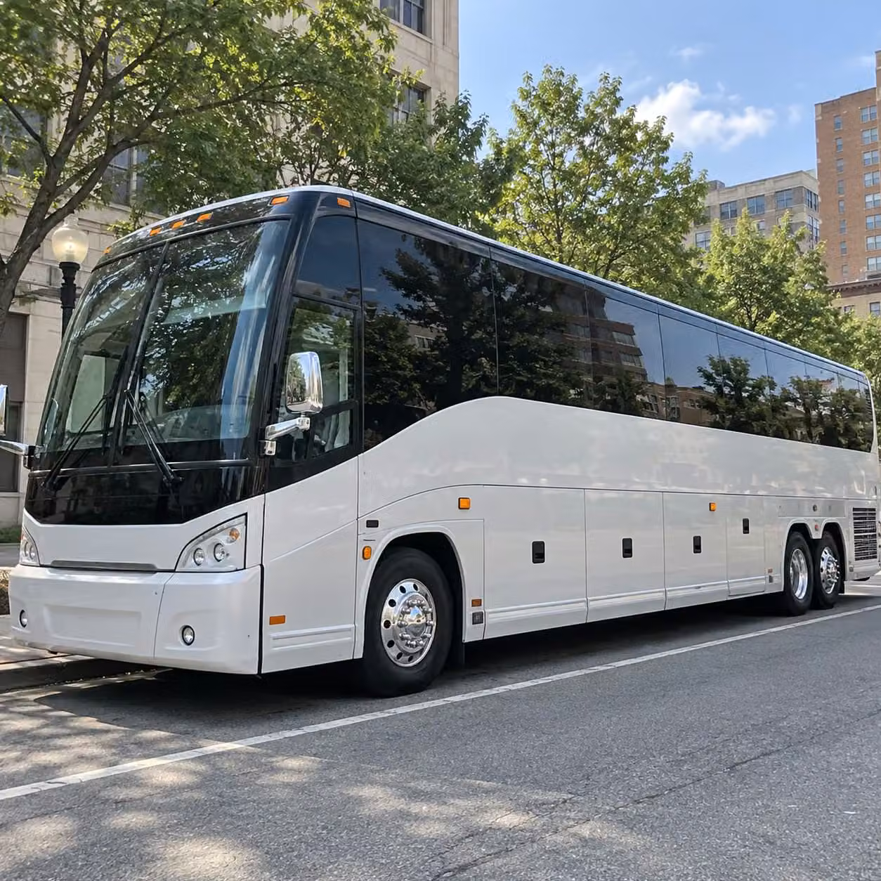 56 passenger charter bus
